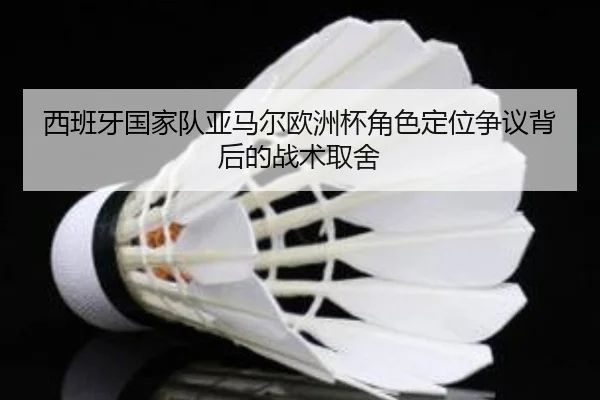 西班牙国家队亚马尔欧洲杯角色定位争议背后的战术取舍