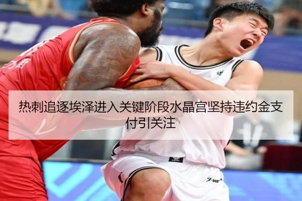 热刺追逐埃泽进入关键阶段水晶宫坚持违约金支付引关注